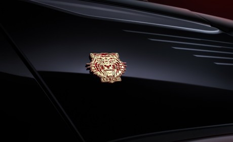 凡尔赛C5 X虎年开门红版正式上市 限量1000台