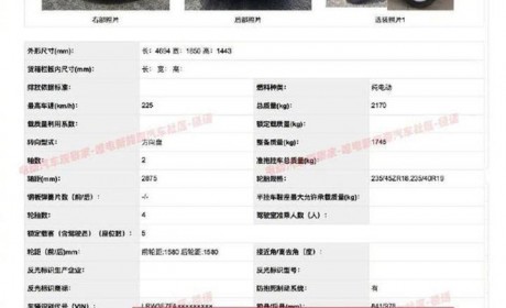 国产特斯拉Model3磷酸铁锂电池版信息曝光！成本再降？