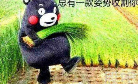 做大了就开始割韭菜？这年头的特斯拉和蔚来们也太黑了吧？