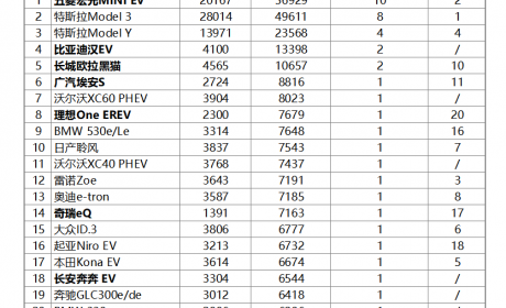 2月全球销量，五菱宏光MINIEV依然能打