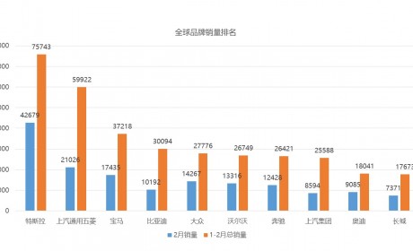 2月全球销量，五菱宏光MINIEV依然能打