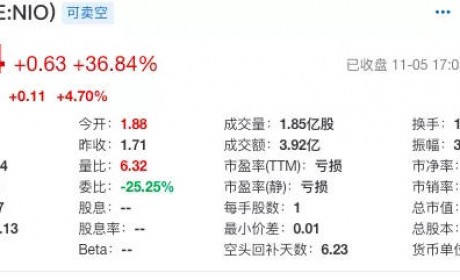 一夜春风来？谁在撑蔚来？