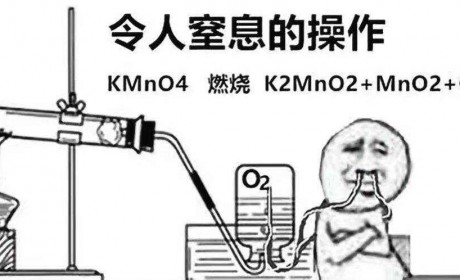 假结婚、假离婚、收购公司……为了一张京牌，贩子们还有什么幺蛾子？