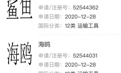 海底动物世界！网传比亚迪7月发布海豚车型