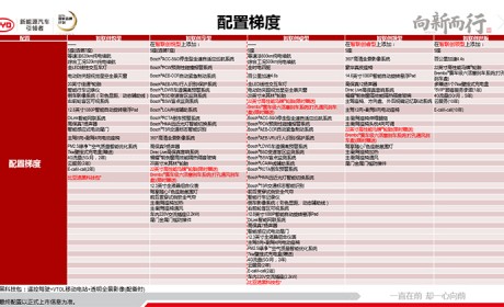 5座/7座共5种配置可选 比亚迪唐EV600配置表和交付时间曝光