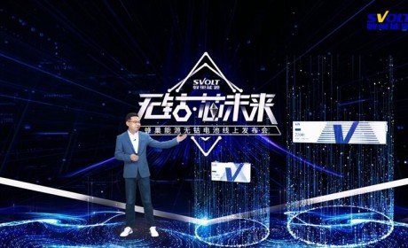 最快将于明年6月推向市场 蜂巢能源发布两款无钴电芯
