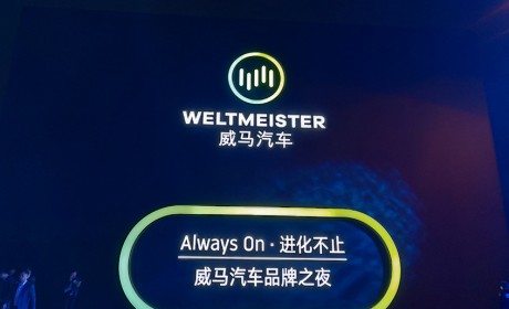 威马EX5 2.0 智行版 补贴后售15.98万起