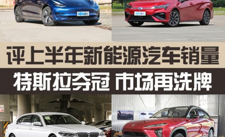 第一名毫无悬念 上半年新能源销量点评