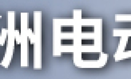 借鉴欧洲成功经验？雷诺在华电动车业务迎新契机