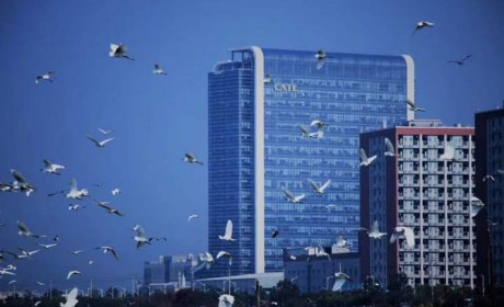 宁德时代加速出海 10年后能否保持全球20%份额？