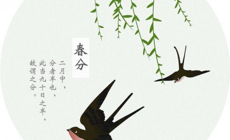 电动车美学大成者吉利几何A预售启动 15万起的它能战胜竞品吗？