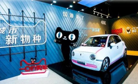 补贴退坡后 微型电动汽车将何去何从？
