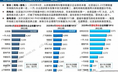 狼真的来了！本土品牌纯电动乘用车份额首次跌破90% 外资品牌强势入侵