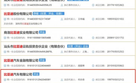 王传福终于懂得放手 比亚迪开始改革开放