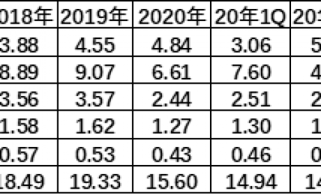 中国成为疫情下世界车市避风港