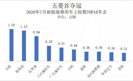 新能源乘用车销量首度“双增” 五菱大涨夺冠