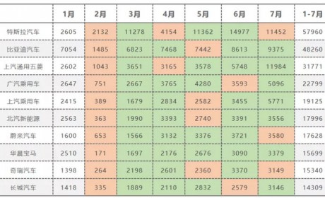 新能源乘用车销量首度“双增” 五菱大涨夺冠
