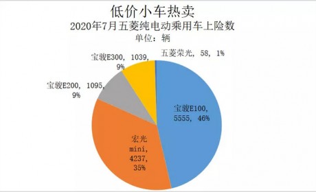 新能源乘用车销量首度“双增” 五菱大涨夺冠