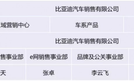 比亚迪销售人事调整解读