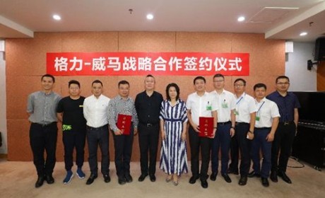 “董小姐”的造车梦：格力和威马签署战略合作协议