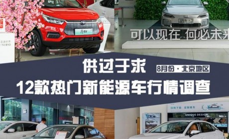 供应充足 12款热门新能源车行情调查