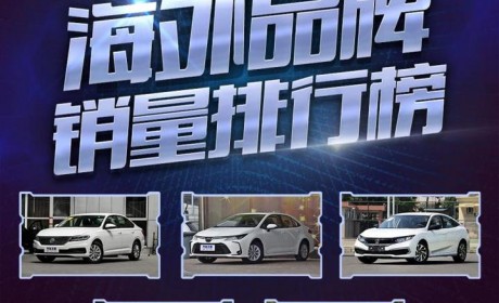 大众第一 评2020上半年海外品牌销量