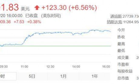 特斯拉：意外加速 车主背锅