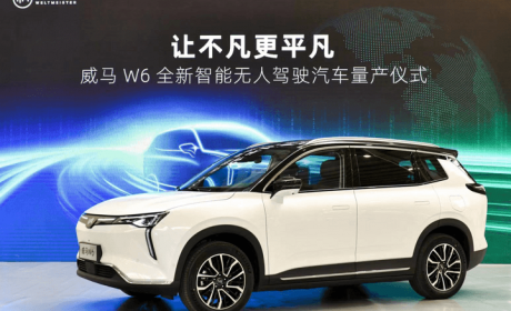 AVP、轿车、换电、固态电池，2021威马要大干一场