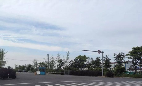 贾跃亭牵手九城内蒙古造车真相