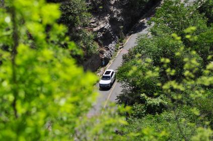 做不循规蹈矩的“带刺”前浪 试驾进口大众Tiguan R-line