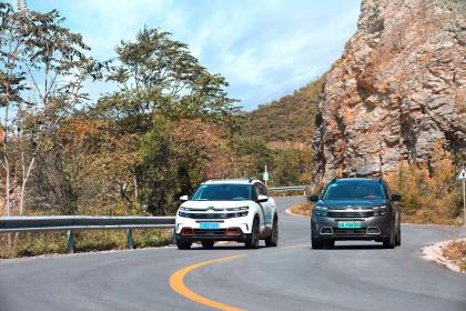 稳渠道提士气强信心 东风雪铁龙实现连续多月环比增长