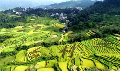 中国一汽荣获“全国脱贫攻坚先进集体”称号