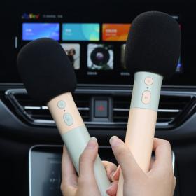 购车即送车载雷石KTV畅玩包？这家车企真会讨好用户