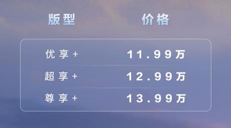 满足用户高阶诉求 北京新X7售价11.99万-13.99万元