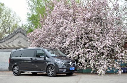 配置用料均有变化 TC君试驾2022款奔驰V260L