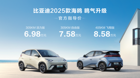 比亚迪2025款海鸥正式上市 售价6.98万-8.58万元
