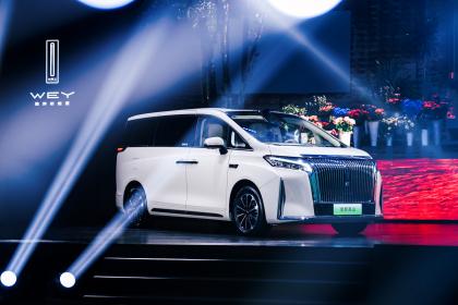 年轻家庭的MPV 魏牌高山7预售价28.98万元