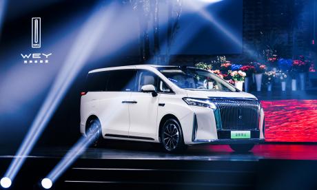 年轻家庭的MPV 魏牌高山7预售价28.98万元