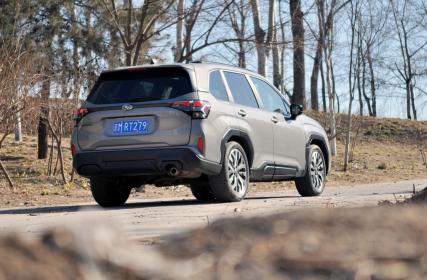 斯巴鲁与雪的故事还在继续 带娃体验第6代森林人