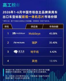 中国汽车“狂飙”出海，谁在统治前视一体机市场？